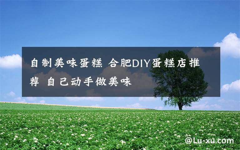 自制美味蛋糕 合肥DIY蛋糕店推薦 自己動手做美味