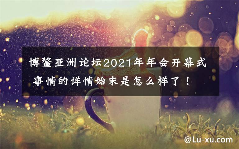 博鰲亞洲論壇2021年年會(huì)開(kāi)幕式 事情的詳情始末是怎么樣了！