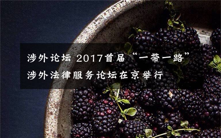 涉外論壇 2017首屆“一帶一路”涉外法律服務論壇在京舉行