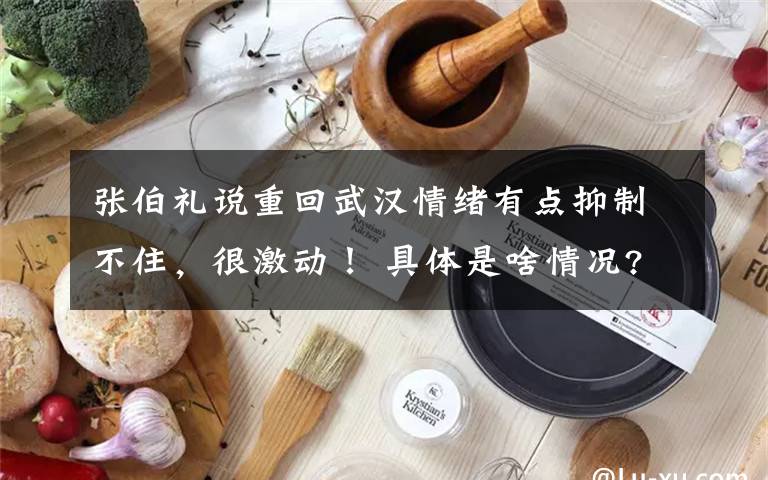 張伯禮說重回武漢情緒有點(diǎn)抑制不住，很激動(dòng)！ 具體是啥情況?