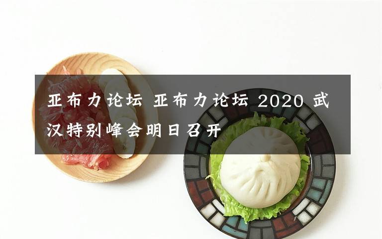 亞布力論壇 亞布力論壇 2020 武漢特別峰會(huì)明日召開(kāi)