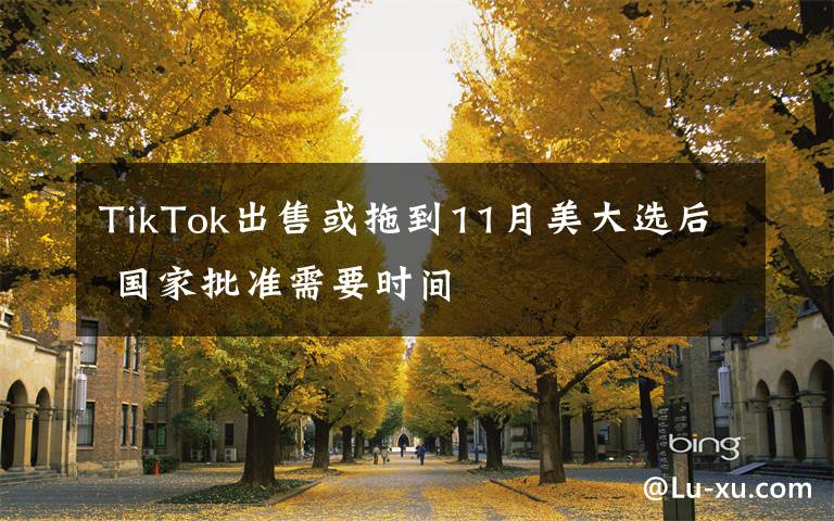 TikTok出售或拖到11月美大選后 國(guó)家批準(zhǔn)需要時(shí)間