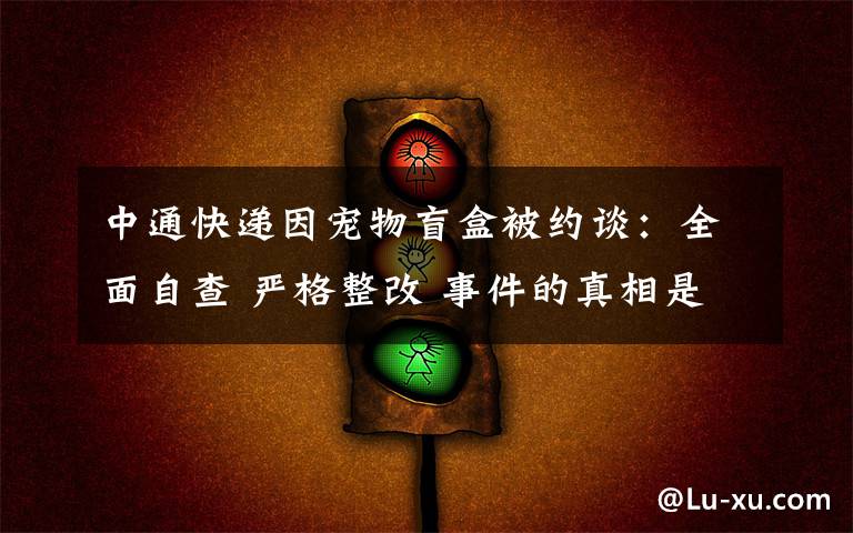 中通快遞因?qū)櫸锩ず斜患s談：全面自查 嚴格整改 事件的真相是什么？