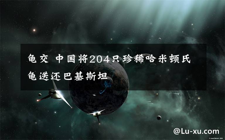 龜交 中國將204只珍稀哈米頓氏龜送還巴基斯坦