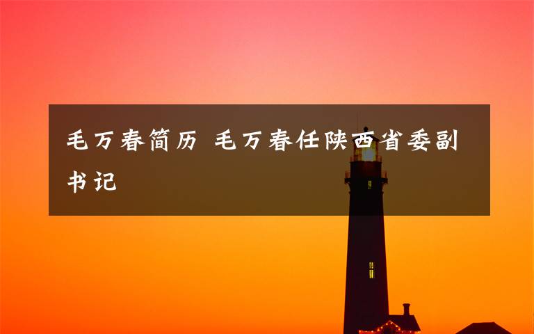 毛萬(wàn)春簡(jiǎn)歷 毛萬(wàn)春任陜西省委副書記