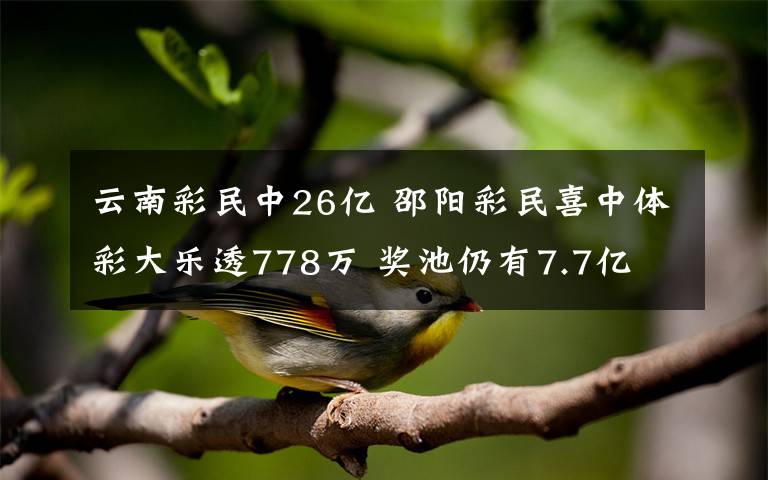 云南彩民中26億 邵陽彩民喜中體彩大樂透778萬 獎池仍有7.7億