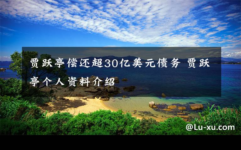 賈躍亭償還超30億美元債務(wù) 賈躍亭個人資料介紹