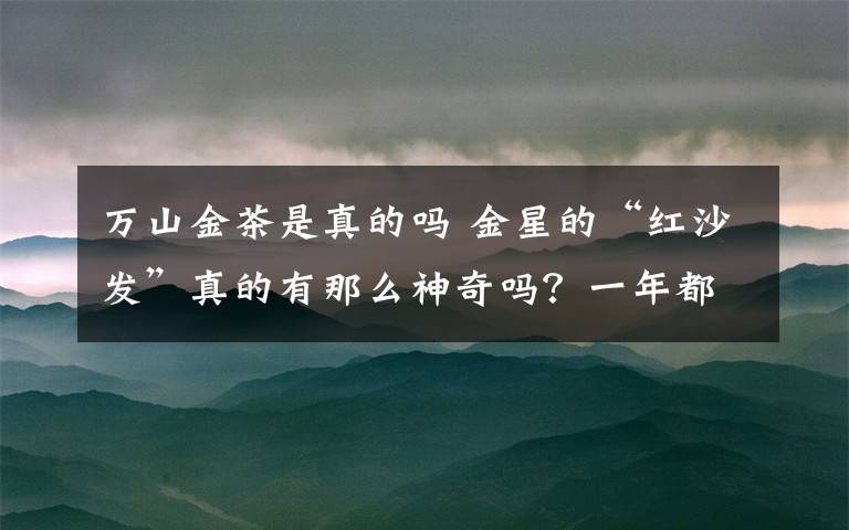 萬山金茶是真的嗎 金星的“紅沙發(fā)”真的有那么神奇嗎？一年都不到的時間她就結婚生子！