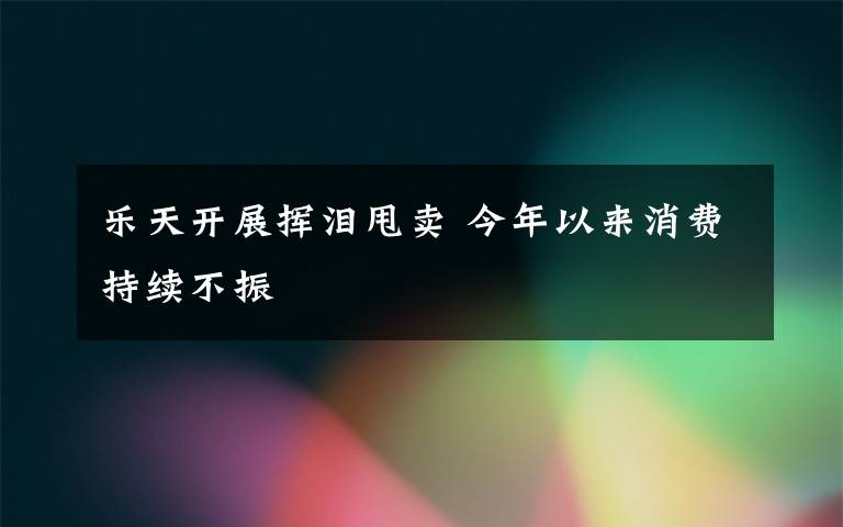 樂天開展揮淚甩賣 今年以來消費(fèi)持續(xù)不振