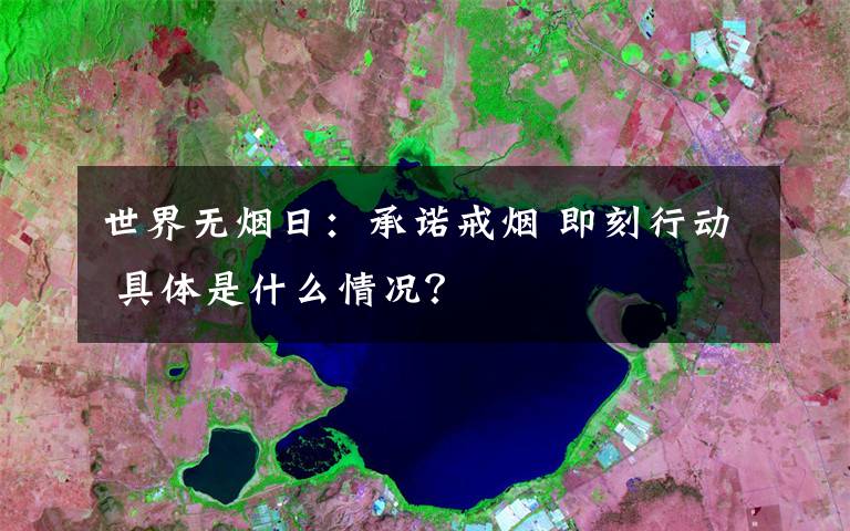 世界無(wú)煙日：承諾戒煙 即刻行動(dòng) 具體是什么情況？