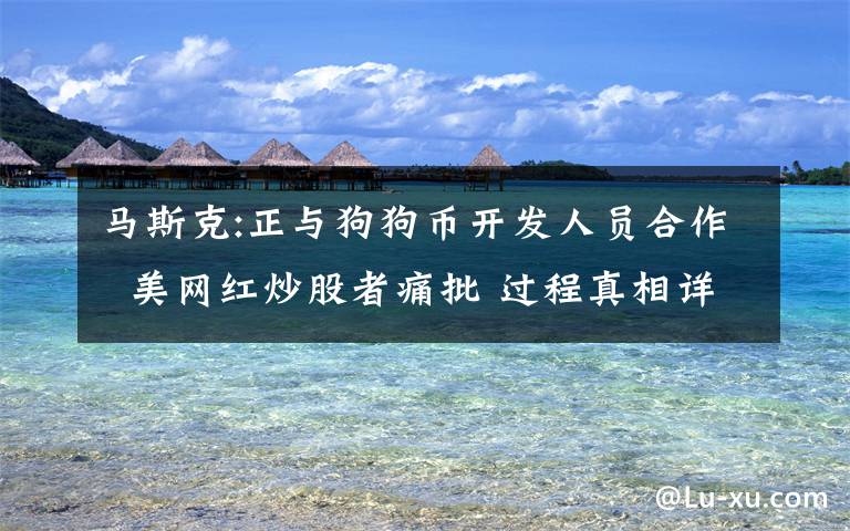 馬斯克:正與狗狗幣開發(fā)人員合作  美網(wǎng)紅炒股者痛批 過程真相詳細揭秘！