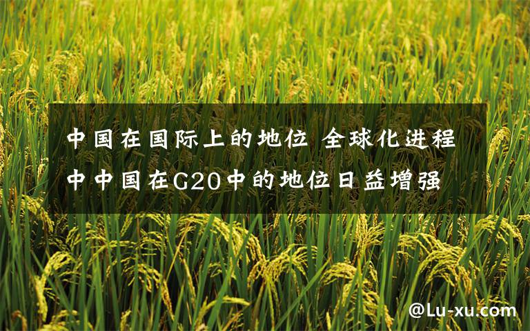 中國在國際上的地位 全球化進程中中國在G20中的地位日益增強