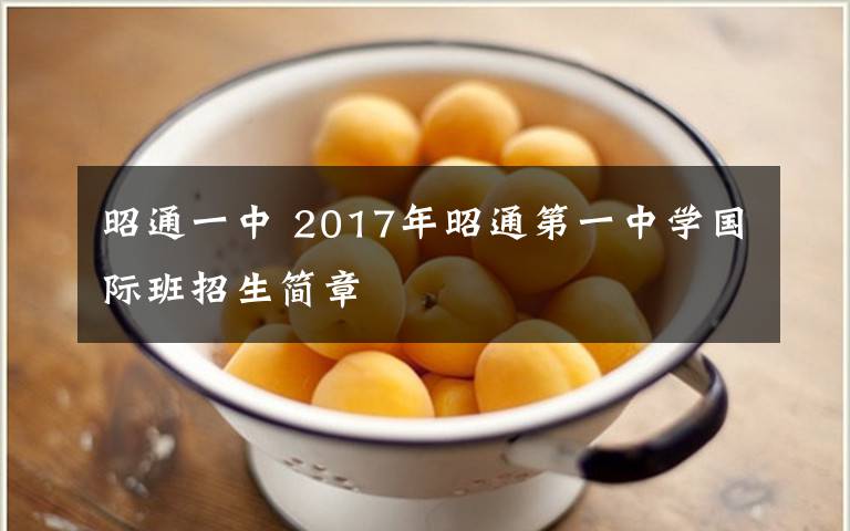 昭通一中 2017年昭通第一中學(xué)國際班招生簡章