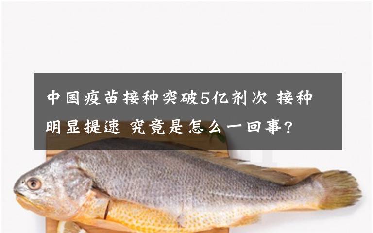 中國疫苗接種突破5億劑次 接種明顯提速 究竟是怎么一回事?