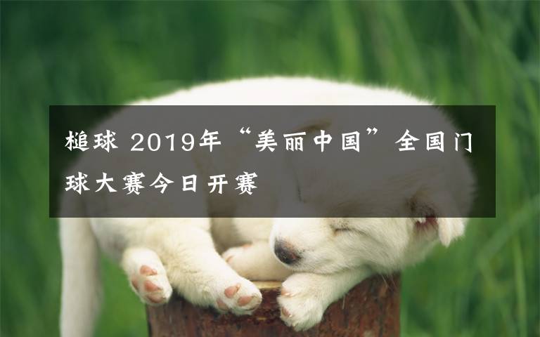 槌球 2019年“美麗中國”全國門球大賽今日開賽