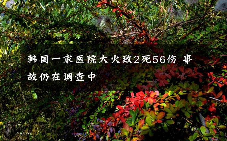 韓國一家醫(yī)院大火致2死56傷 事故仍在調(diào)查中