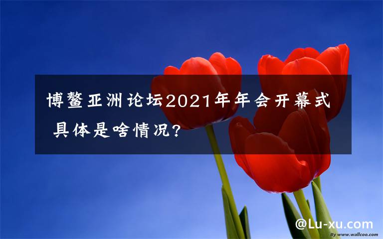 博鰲亞洲論壇2021年年會開幕式 具體是啥情況?