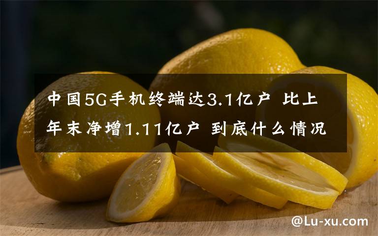 中國5G手機(jī)終端達(dá)3.1億戶 比上年末凈增1.11億戶 到底什么情況呢？