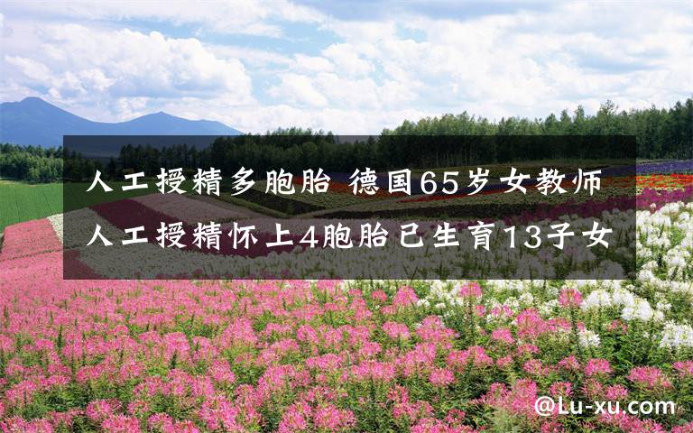 人工授精多胞胎 德國65歲女教師人工授精懷上4胞胎已生育13子女