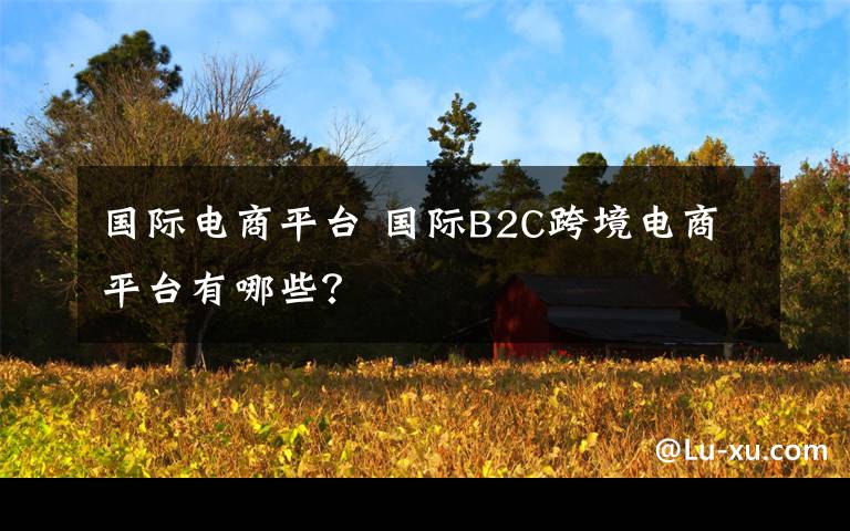 國際電商平臺 國際B2C跨境電商平臺有哪些？