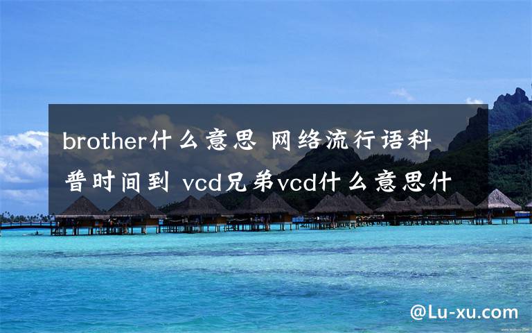 brother什么意思 網(wǎng)絡(luò)流行語科普時(shí)間到 vcd兄弟vcd什么意思什么梗？