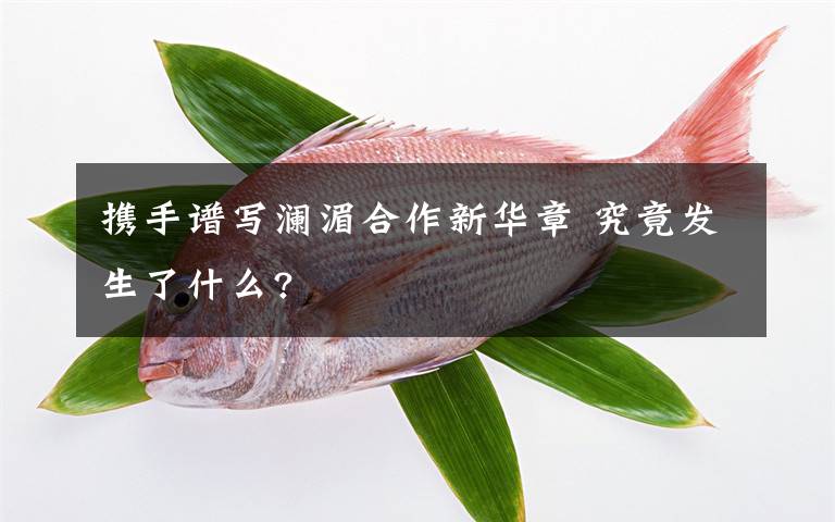 攜手譜寫瀾湄合作新華章 究竟發(fā)生了什么?