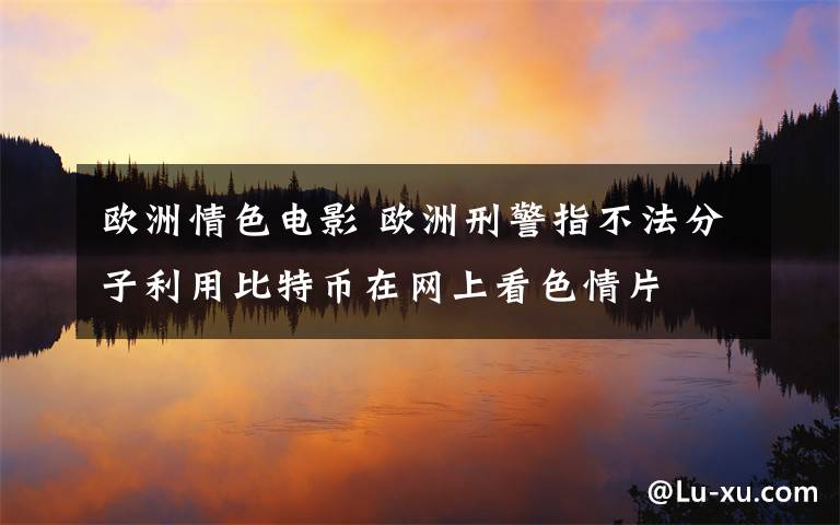 歐洲情色電影 歐洲刑警指不法分子利用比特幣在網(wǎng)上看色情片