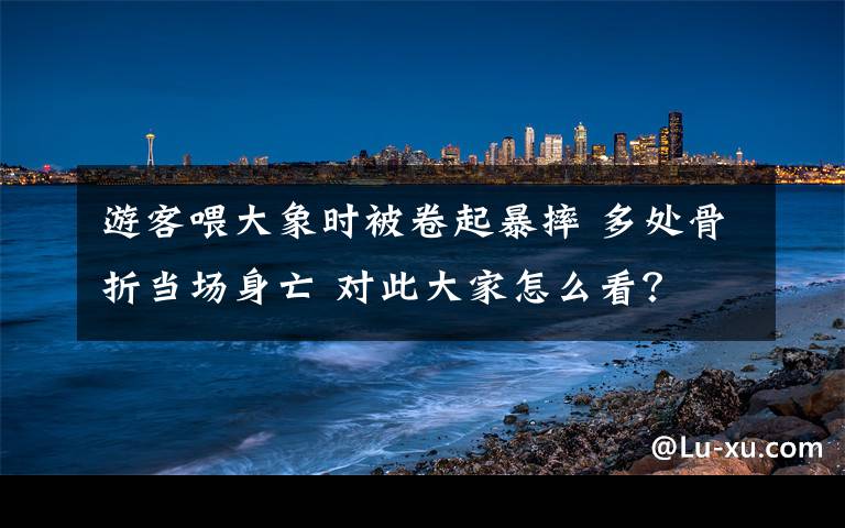 游客喂大象時(shí)被卷起暴摔 多處骨折當(dāng)場(chǎng)身亡 對(duì)此大家怎么看？