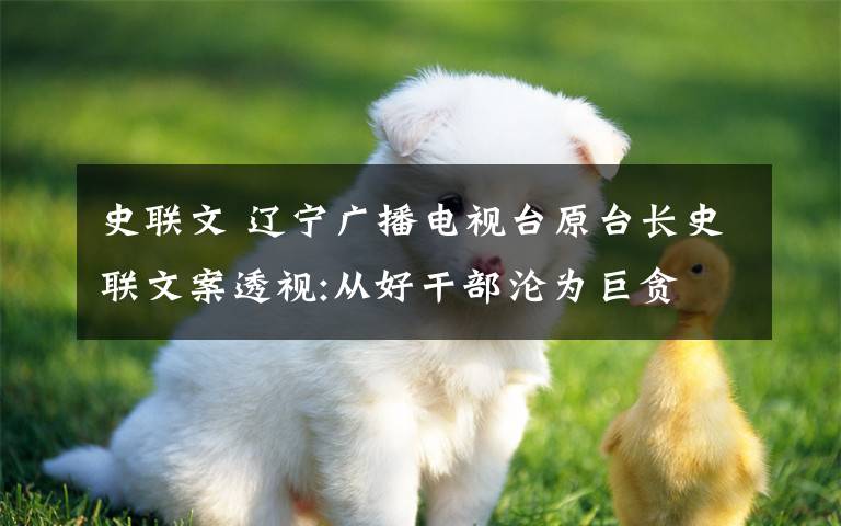 史聯(lián)文 遼寧廣播電視臺(tái)原臺(tái)長(zhǎng)史聯(lián)文案透視:從好干部淪為巨貪