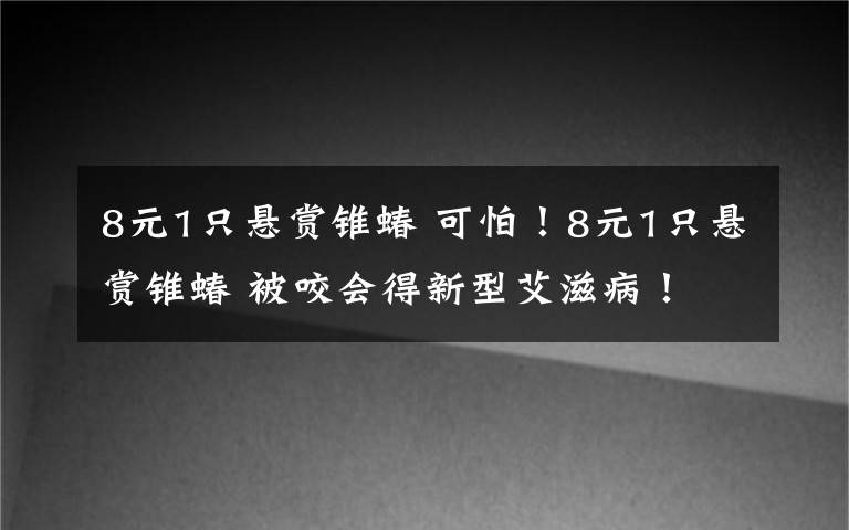 8元1只懸賞錐蝽 可怕！8元1只懸賞錐蝽 被咬會(huì)得新型艾滋病！