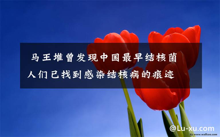  馬王堆曾發(fā)現(xiàn)中國(guó)最早結(jié)核菌 人們已找到感染結(jié)核病的痕跡