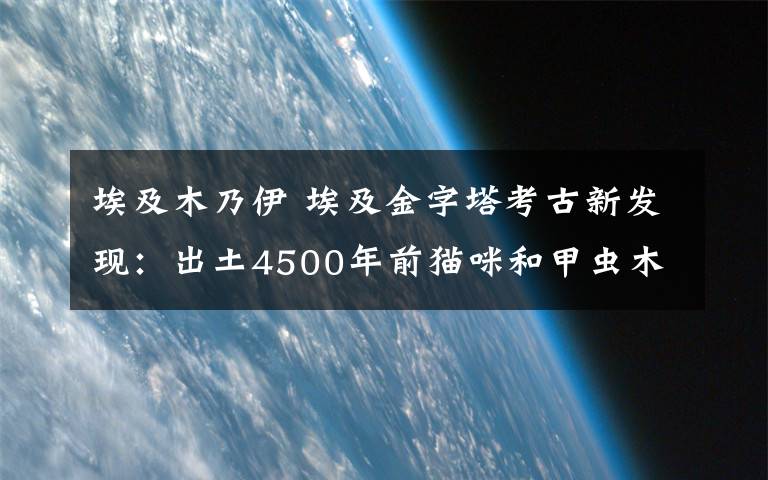 埃及木乃伊 埃及金字塔考古新發(fā)現(xiàn)：出土4500年前貓咪和甲蟲木乃伊