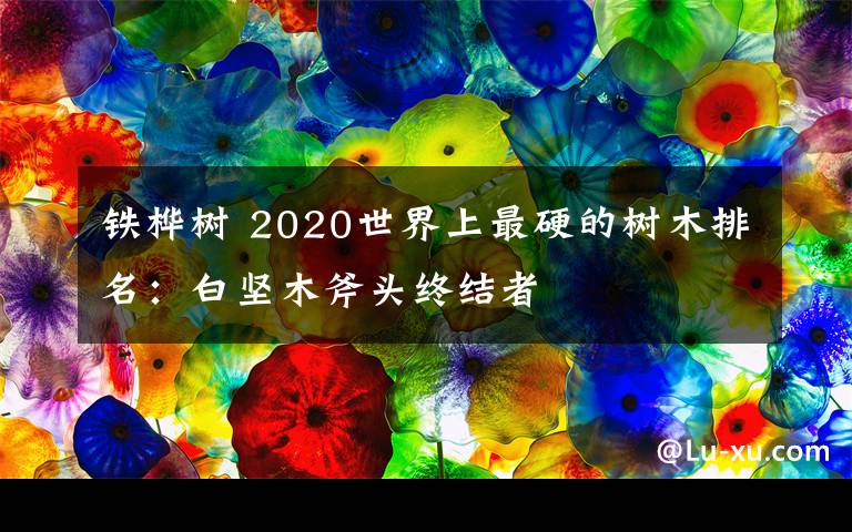 鐵樺樹(shù) 2020世界上最硬的樹(shù)木排名：白堅(jiān)木斧頭終結(jié)者