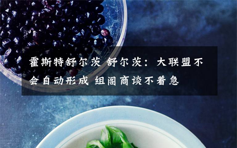 霍斯特舒爾茨 舒爾茨：大聯(lián)盟不會(huì)自動(dòng)形成 組閣商談不著急