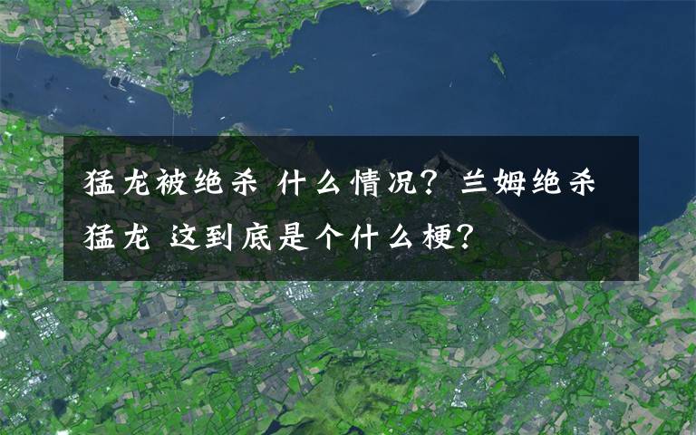 猛龍被絕殺 什么情況？蘭姆絕殺猛龍 這到底是個(gè)什么梗？