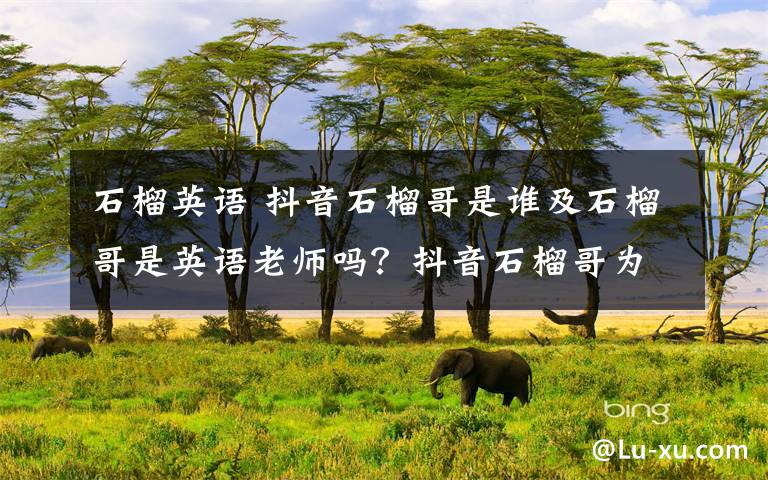 石榴英語 抖音石榴哥是誰及石榴哥是英語老師嗎？抖音石榴哥為什么火附個人資料