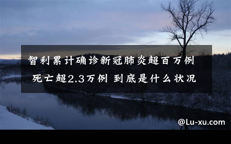 智利累計確診新冠肺炎超百萬例 死亡超2.3萬例 到底是什么狀況？