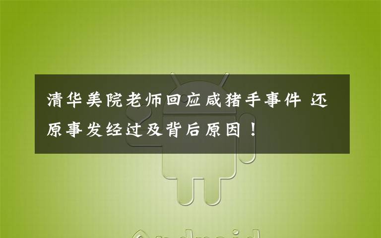 清華美院老師回應(yīng)咸豬手事件 還原事發(fā)經(jīng)過及背后原因！