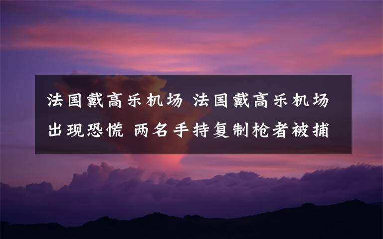 法國(guó)戴高樂(lè)機(jī)場(chǎng) 法國(guó)戴高樂(lè)機(jī)場(chǎng)出現(xiàn)恐慌 兩名手持復(fù)制槍者被捕