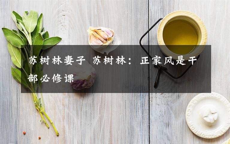 蘇樹林妻子 蘇樹林：正家風(fēng)是干部必修課