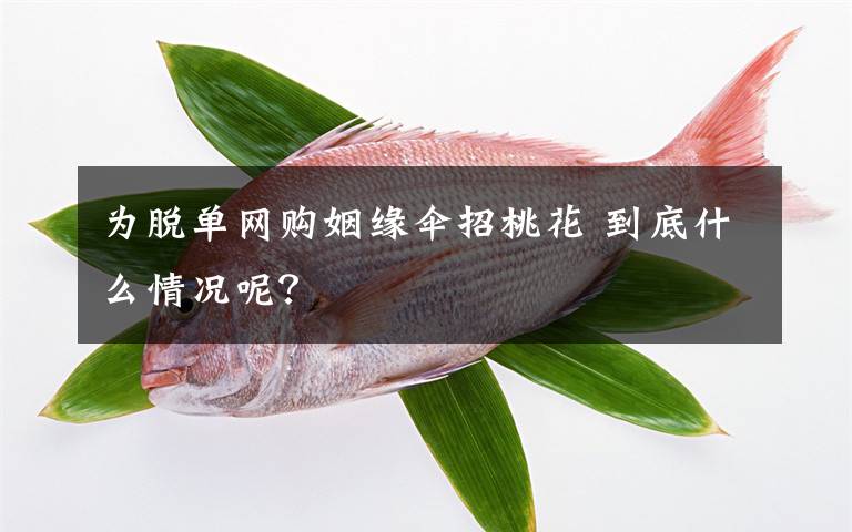 為脫單網(wǎng)購姻緣傘招桃花 到底什么情況呢？