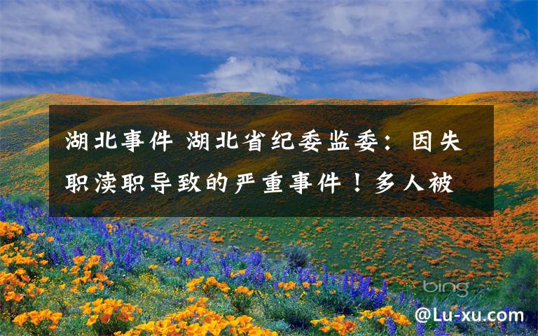 湖北事件 湖北省紀(jì)委監(jiān)委：因失職瀆職導(dǎo)致的嚴(yán)重事件！多人被立案審查調(diào)查！