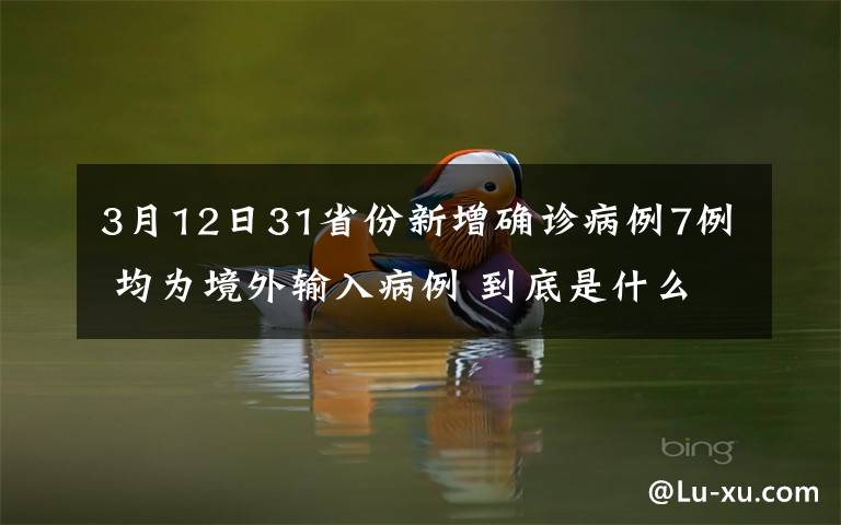 3月12日31省份新增確診病例7例 均為境外輸入病例 到底是什么狀況？