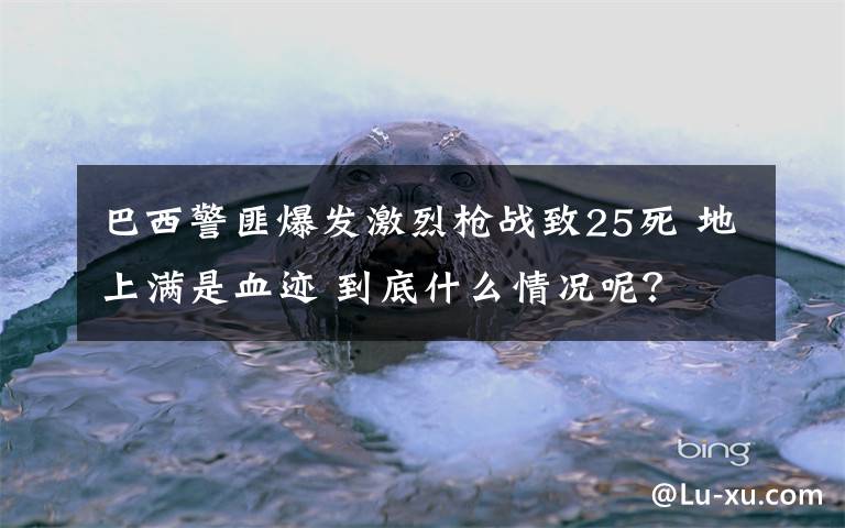 巴西警匪爆發(fā)激烈槍戰(zhàn)致25死 地上滿是血跡 到底什么情況呢？