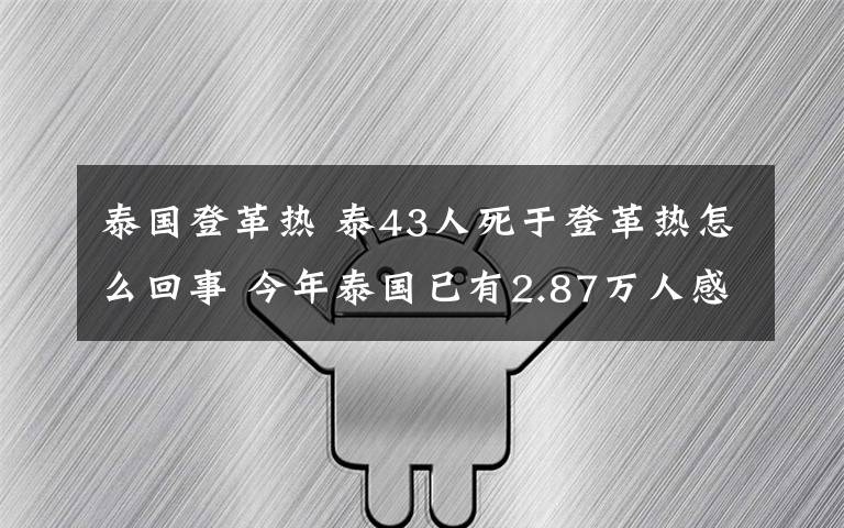 泰國(guó)登革熱 泰43人死于登革熱怎么回事 今年泰國(guó)已有2.87萬(wàn)人感染登革熱