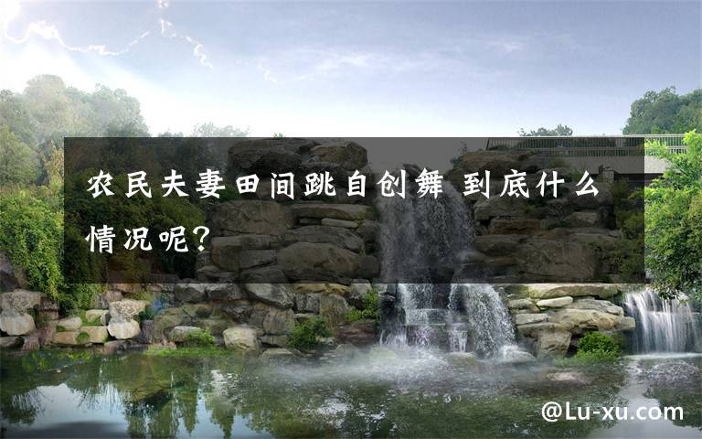 農(nóng)民夫妻田間跳自創(chuàng)舞 到底什么情況呢？