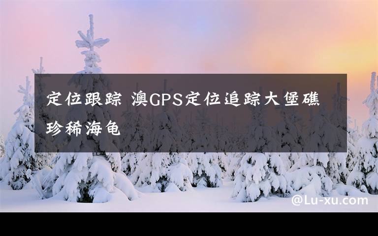 定位跟蹤 澳GPS定位追蹤大堡礁珍稀海龜