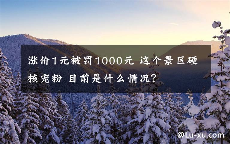 漲價(jià)1元被罰1000元 這個(gè)景區(qū)硬核寵粉 目前是什么情況？