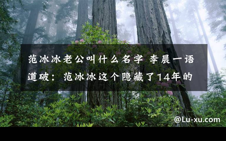 范冰冰老公叫什么名字 李晨一語(yǔ)道破：范冰冰這個(gè)隱藏了14年的男人，難怪三次求婚被拒