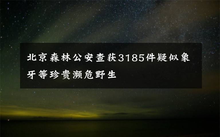 北京森林公安查獲3185件疑似象牙等珍貴瀕危野生